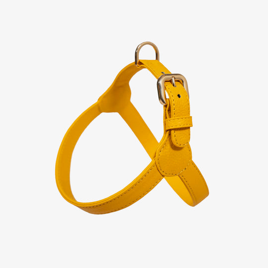 Arnés de perro en piel color amarillo con hebilla dorada Marca GiGi BONE impresa en el cuero en letras doradas a juego con los herrajes. Piel italiana de curtido vegetal y herrajes de gran calidad. Hecho a mano, con bordes de piel doblada y cosida, sin recubrimientos plásticos, lo que le da una estética premium y gran durabilidad