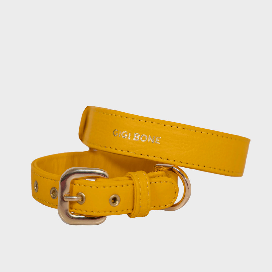 Collar de perro en piel color amarillo con hebilla dorada y ojales metalizados dorados. Marca GiGi BONE impresa en el cuero en letras doradas a juego con los herrajes. Piel italiana de curtido vegetal y herrajes de gran calidad. Hecho a mano, con bordes de piel doblada y cosida, sin recubrimientos plásticos, que le da una estética premium y gran durabilidad