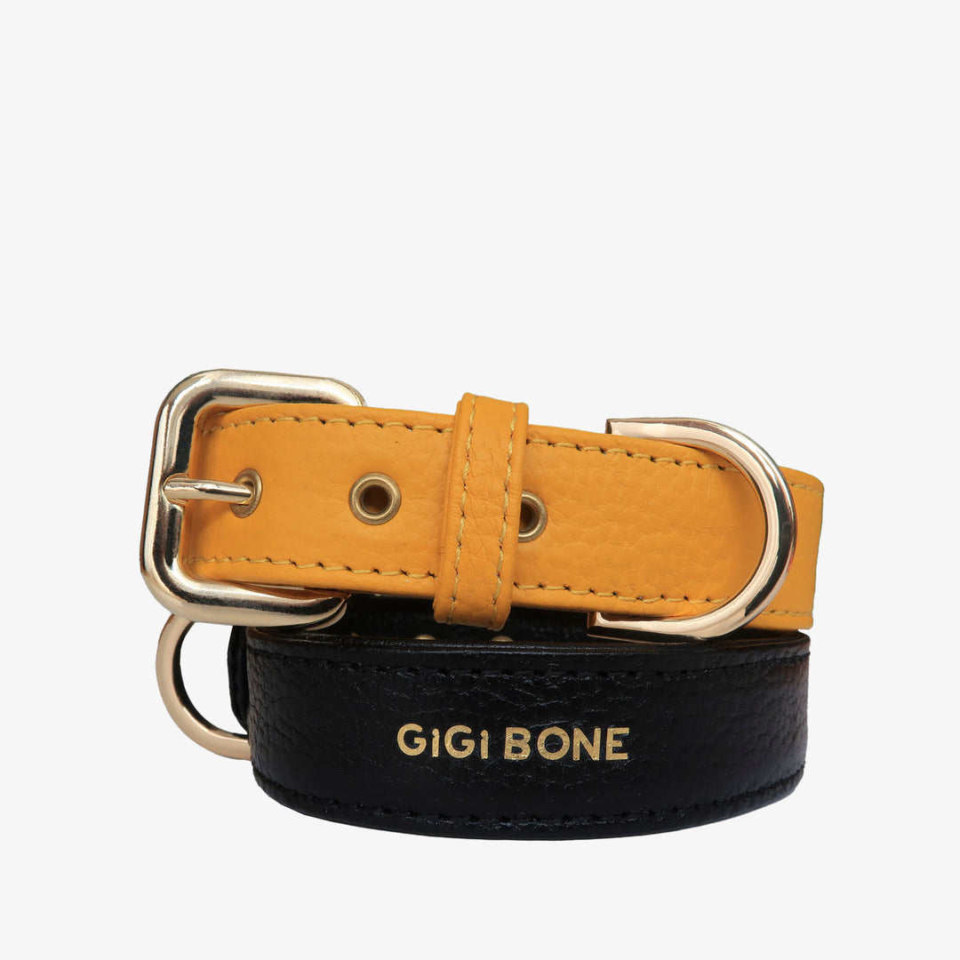 Collar de perro en piel color amarillo con hebilla dorada y ojales metalizados dorados. Marca GiGi BONE impresa en el cuero en letras doradas a juego con los herrajes. Piel italiana de curtido vegetal y herrajes de gran calidad. Hecho a mano, con bordes de piel doblada y cosida, sin recubrimientos plásticos, que le da una estética premium y gran durabilidad