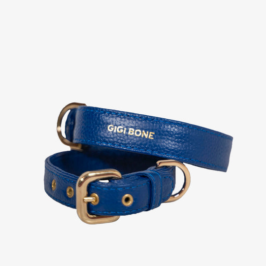 Collar de perro en piel color azul con hebilla dorada y ojales metalizados dorados. Marca GiGi BONE impresa en el cuero en letras doradas a juego con los herrajes. Piel italiana de curtido vegetal y herrajes de gran calidad. Hecho a mano, con bordes de piel doblada y cosida, sin recubrimientos plásticos, que le da una estética premium y gran durabilidad