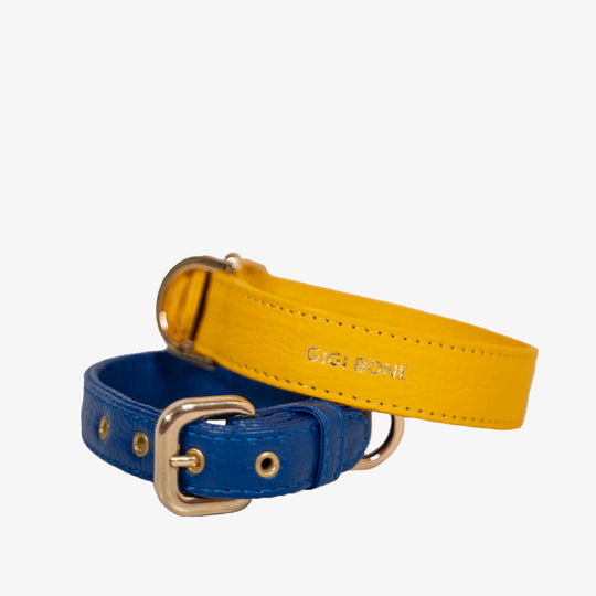 Collar de perro en piel color azul con hebilla dorada y ojales metalizados dorados. Marca GiGi BONE impresa en el cuero en letras doradas a juego con los herrajes. Piel italiana de curtido vegetal y herrajes de gran calidad. Hecho a mano, con bordes de piel doblada y cosida, sin recubrimientos plásticos, que le da una estética premium y gran durabilidad