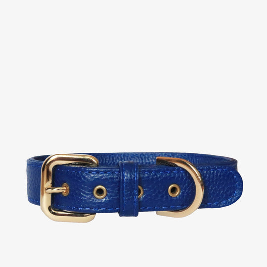 Collar de perro en piel color azul con hebilla dorada y ojales metalizados dorados. Marca GiGi BONE impresa en el cuero en letras doradas a juego con los herrajes. Piel italiana de curtido vegetal y herrajes de gran calidad. Hecho a mano, con bordes de piel doblada y cosida, sin recubrimientos plásticos, que le da una estética premium y gran durabilidad