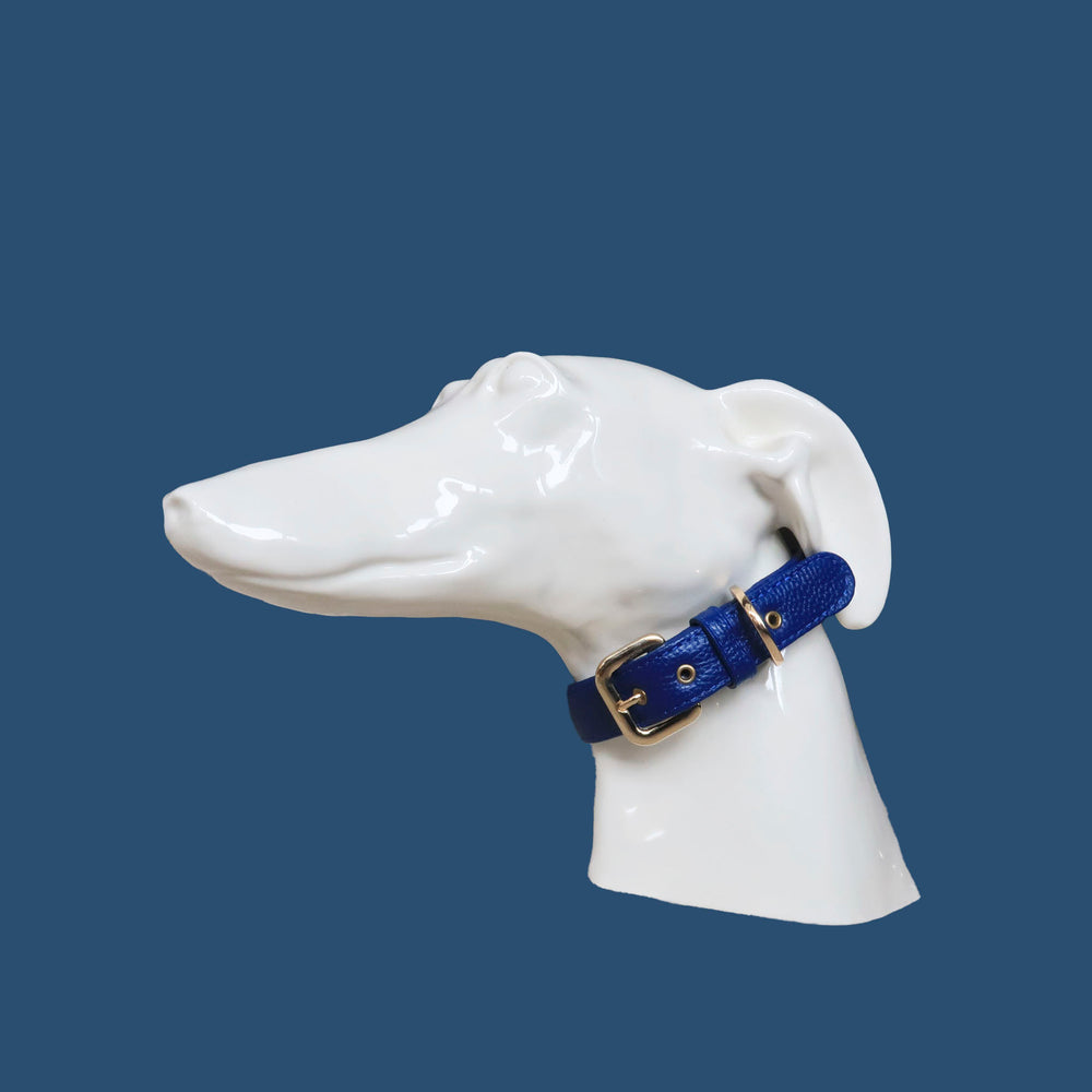 Collar de perro en piel color azul con hebilla dorada y ojales metalizados dorados. Marca GiGi BONE impresa en el cuero en letras doradas a juego con los herrajes. Piel italiana de curtido vegetal y herrajes de gran calidad. Hecho a mano, con bordes de piel doblada y cosida, sin recubrimientos plásticos, que le da una estética premium y gran durabilidad