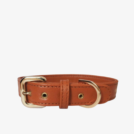 Collar Camel