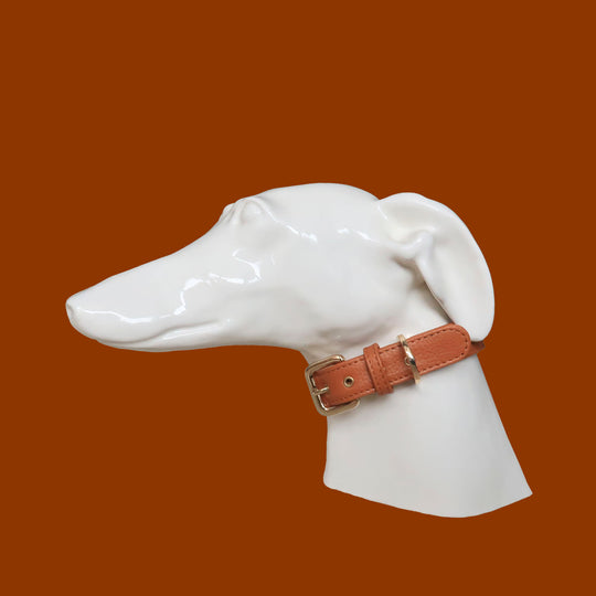 Collar Camel