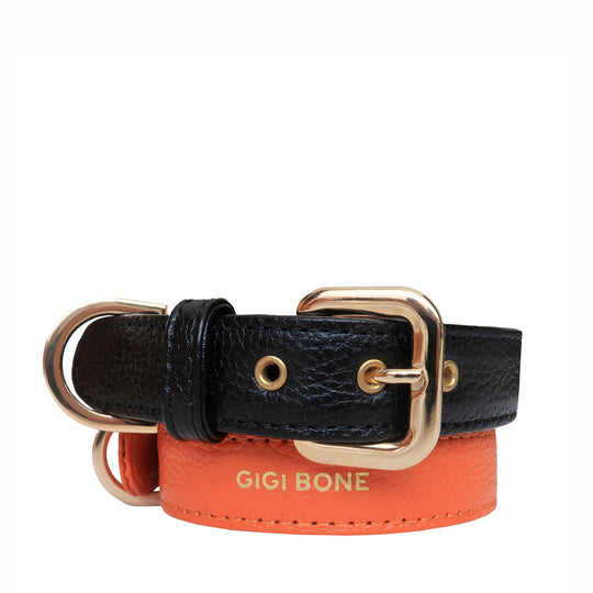 Collar de perro en piel color negro con hebilla dorada y ojales metalizados dorados. Marca GiGi BONE impresa en el cuero en letras doradas a juego con los herrajes. Piel italiana de curtido vegetal y herrajes de gran calidad. Hecho a mano, con bordes de piel doblada y cosida, sin recubrimientos plásticos, que le da una estética premium y gran durabilidad