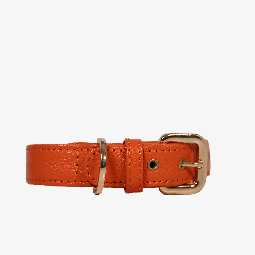 Collar de perro en piel color rojo naranja con hebilla dorada y ojales metalizados dorados. Marca GiGi BONE impresa en el cuero en letras doradas a juego con los herrajes. Piel italiana de curtido vegetal y herrajes de gran calidad. Hecho a mano, con bordes de piel doblada y cosida, sin recubrimientos plásticos, que le da una estética premium y gran durabilidad