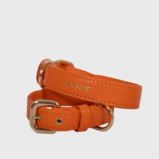 Collar de perro en piel color rojo naranja con hebilla dorada y ojales metalizados dorados. Marca GiGi BONE impresa en el cuero en letras doradas a juego con los herrajes. Piel italiana de curtido vegetal y herrajes de gran calidad. Hecho a mano, con bordes de piel doblada y cosida, sin recubrimientos plásticos, que le da una estética premium y gran durabilidad