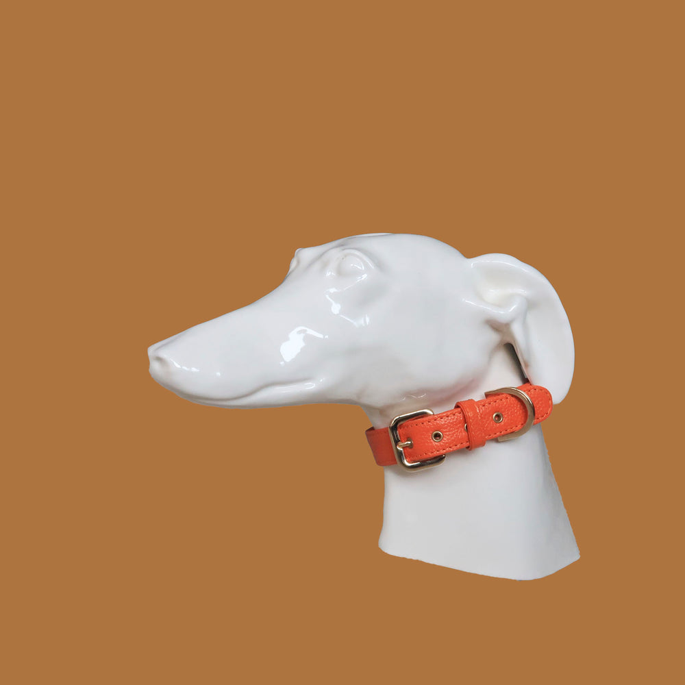 Collar de perro en piel color rojo naranja con hebilla dorada y ojales metalizados dorados. Marca GiGi BONE impresa en el cuero en letras doradas a juego con los herrajes. Piel italiana de curtido vegetal y herrajes de gran calidad. Hecho a mano, con bordes de piel doblada y cosida, sin recubrimientos plásticos, que le da una estética premium y gran durabilidad